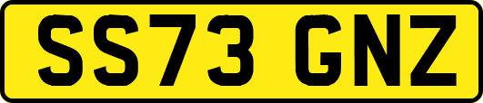 SS73GNZ