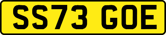 SS73GOE