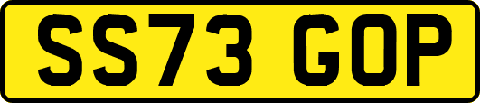 SS73GOP