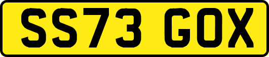 SS73GOX