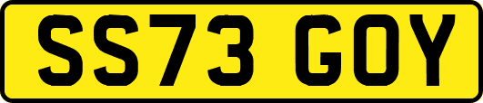 SS73GOY