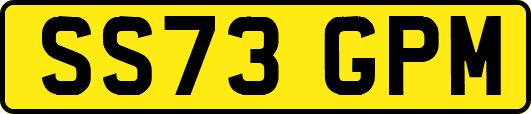 SS73GPM