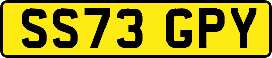 SS73GPY