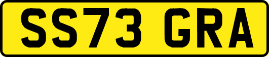 SS73GRA