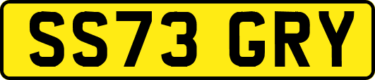 SS73GRY