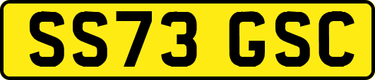SS73GSC
