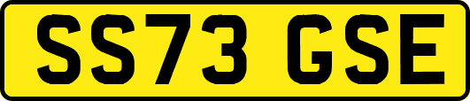 SS73GSE