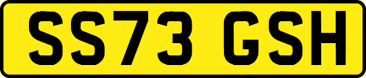 SS73GSH