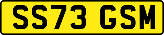 SS73GSM