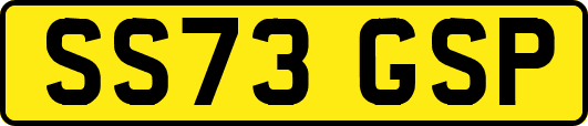 SS73GSP