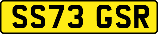 SS73GSR