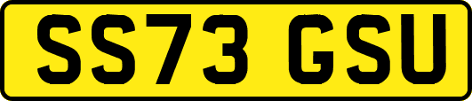 SS73GSU