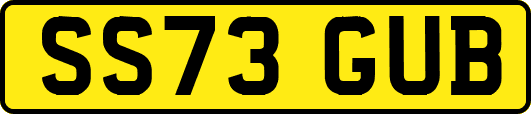SS73GUB