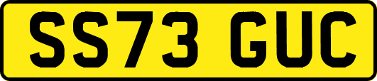 SS73GUC