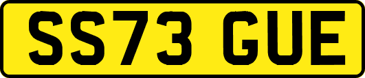 SS73GUE