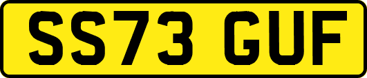 SS73GUF