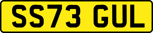 SS73GUL
