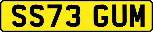 SS73GUM