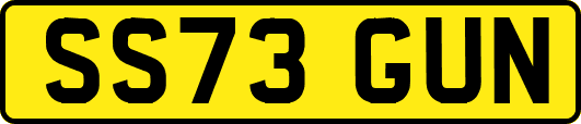 SS73GUN