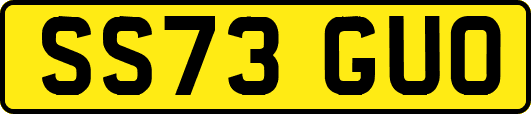 SS73GUO
