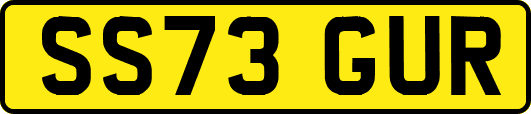 SS73GUR