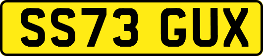 SS73GUX