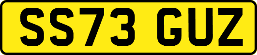 SS73GUZ