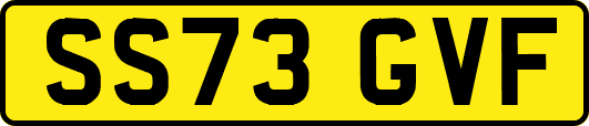 SS73GVF