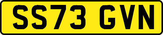 SS73GVN