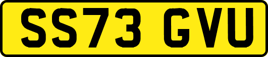 SS73GVU