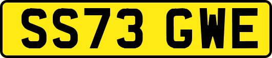 SS73GWE