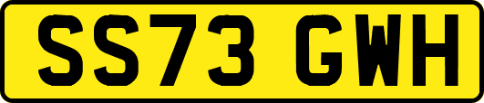 SS73GWH