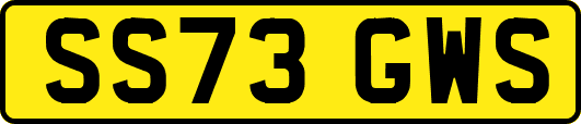 SS73GWS