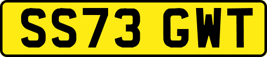 SS73GWT