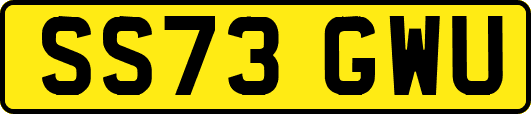 SS73GWU