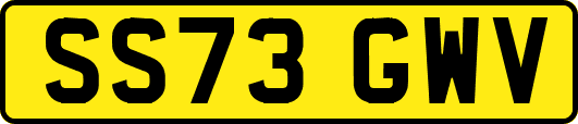SS73GWV