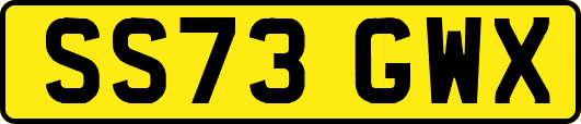 SS73GWX