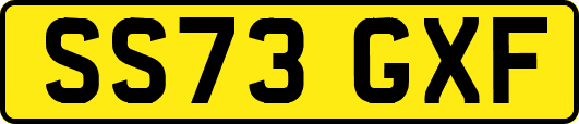 SS73GXF
