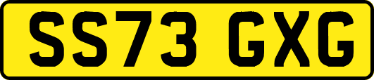 SS73GXG