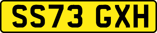 SS73GXH