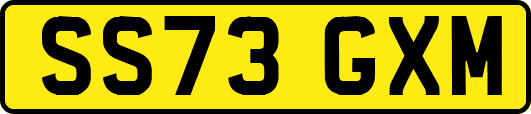 SS73GXM