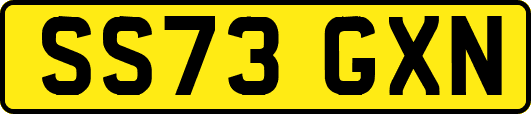 SS73GXN