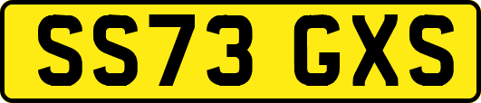 SS73GXS