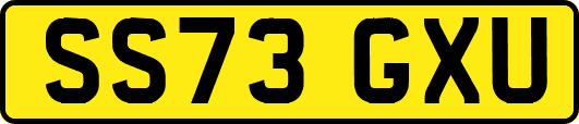 SS73GXU