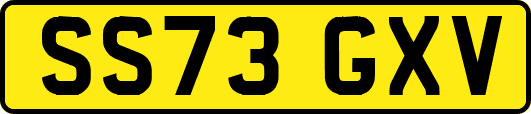 SS73GXV