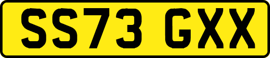 SS73GXX