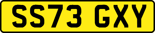 SS73GXY
