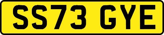 SS73GYE