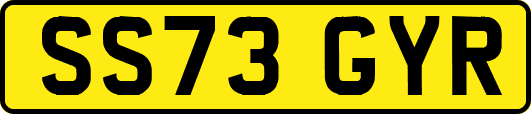 SS73GYR