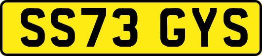 SS73GYS